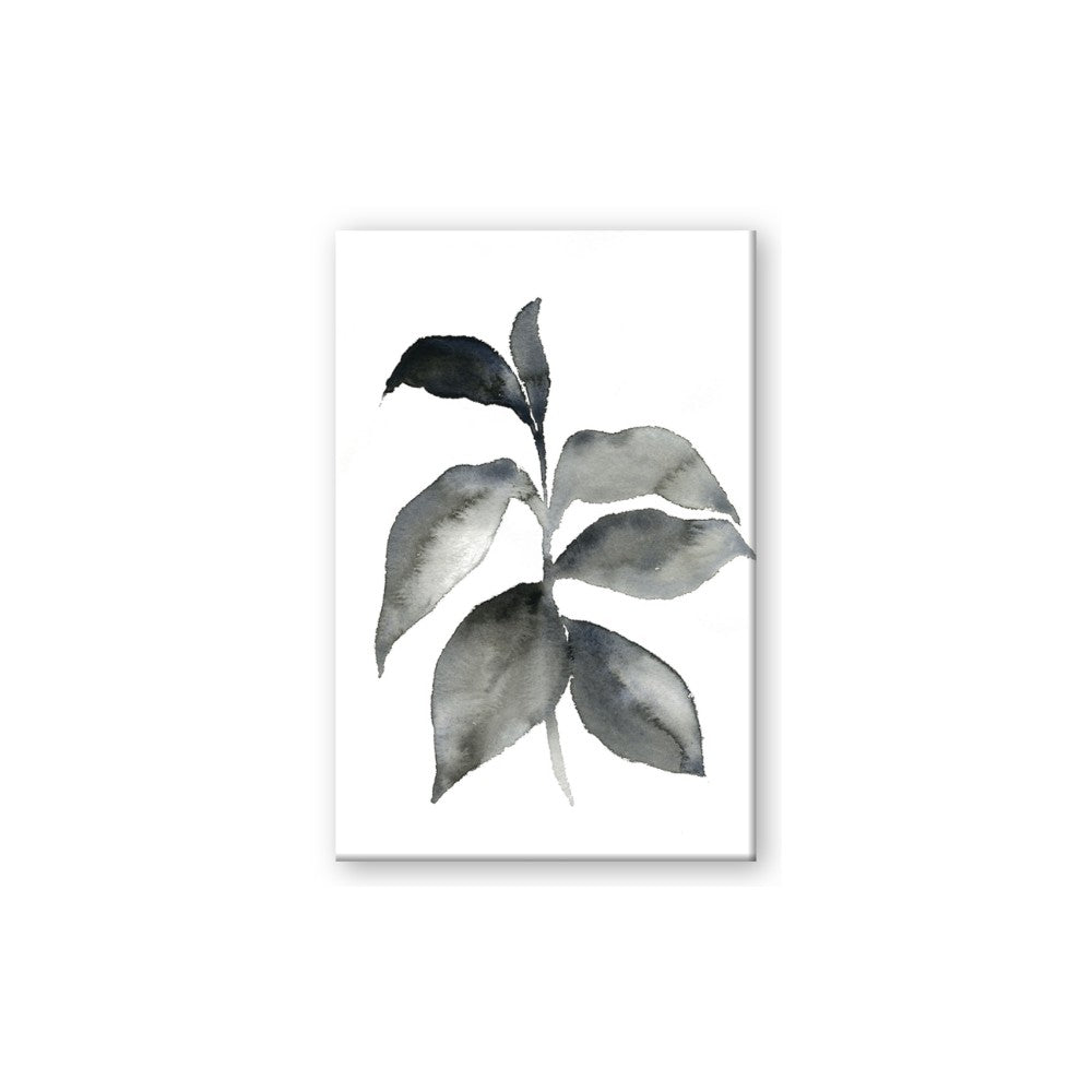 Black Watercolour Botanical II