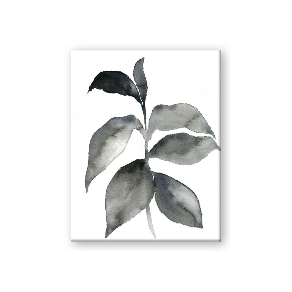 Black Watercolour Botanical II
