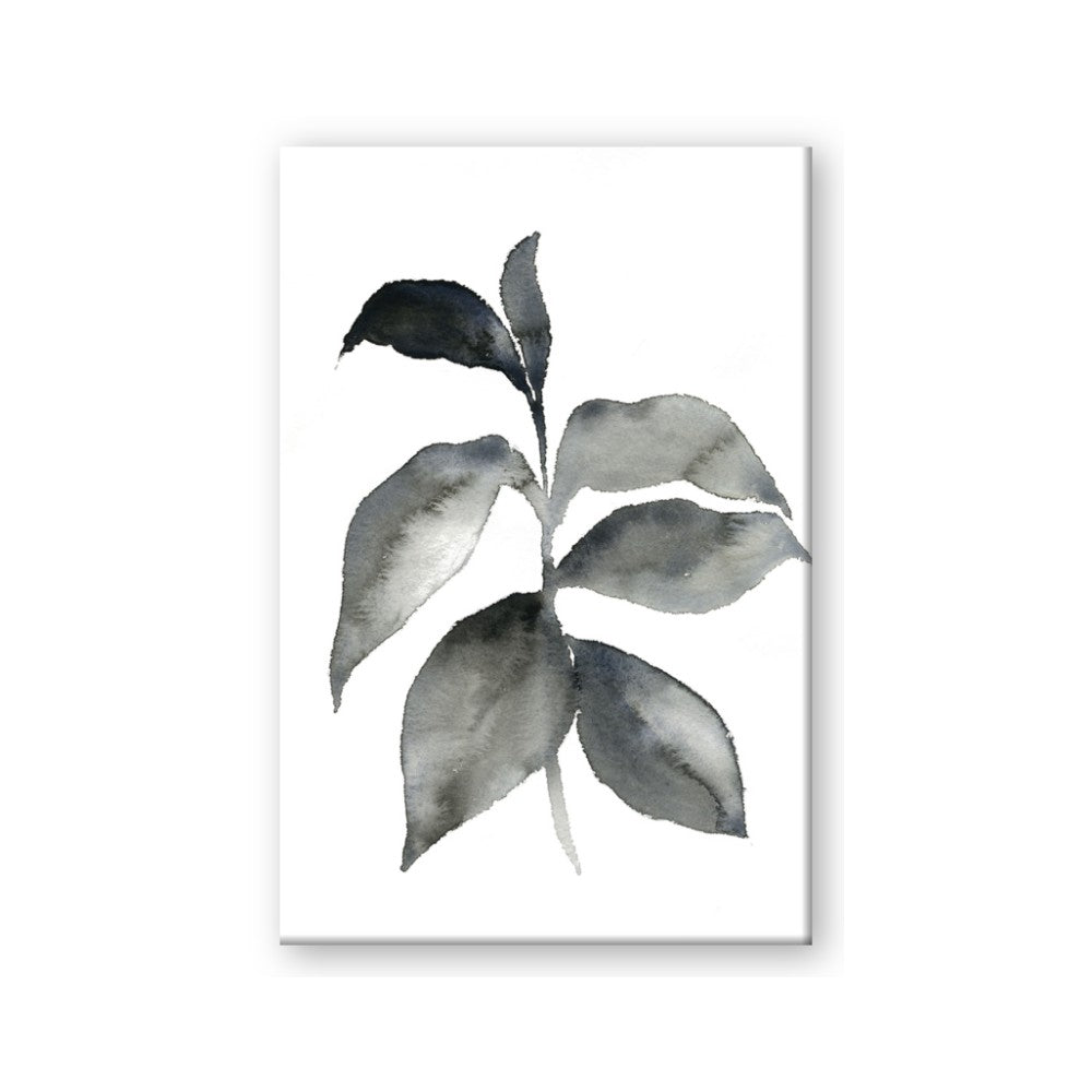 Black Watercolour Botanical II