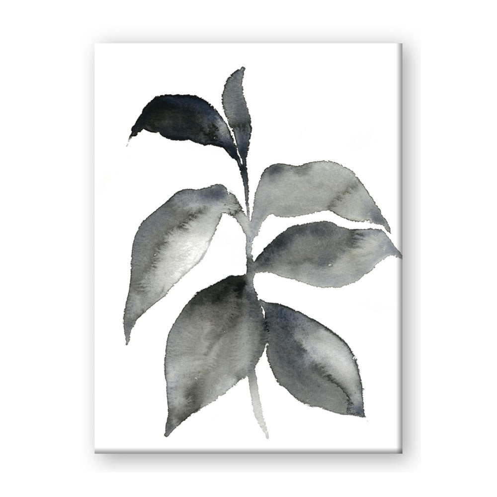 Black Watercolour Botanical II