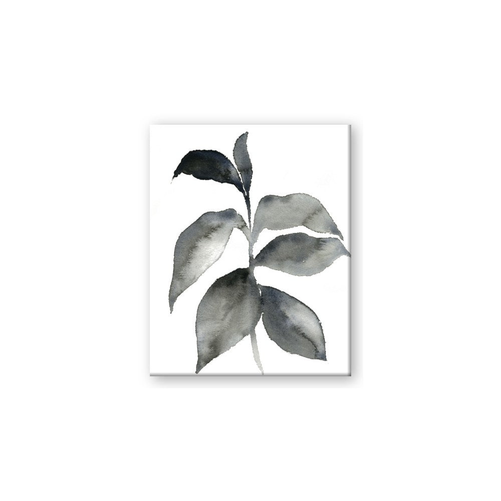 Black Watercolour Botanical II
