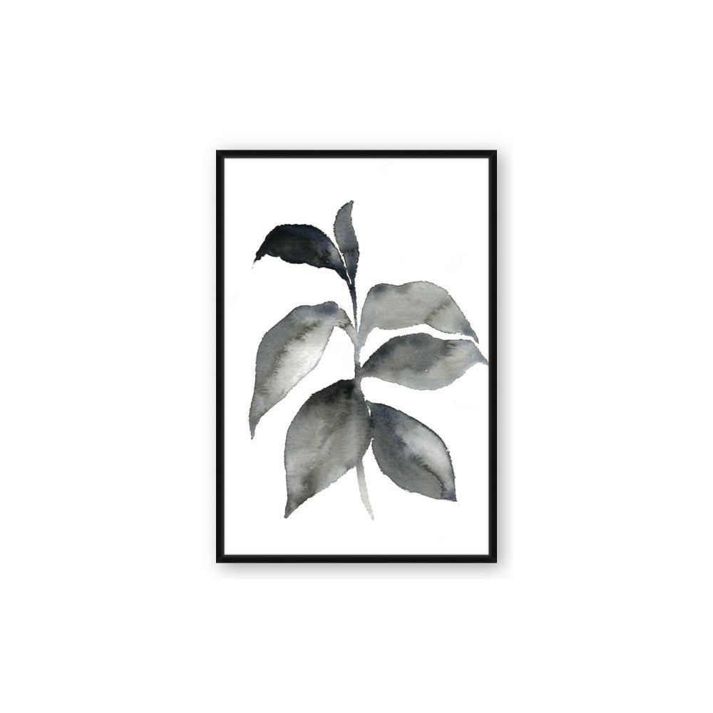 Black Watercolour Botanical II