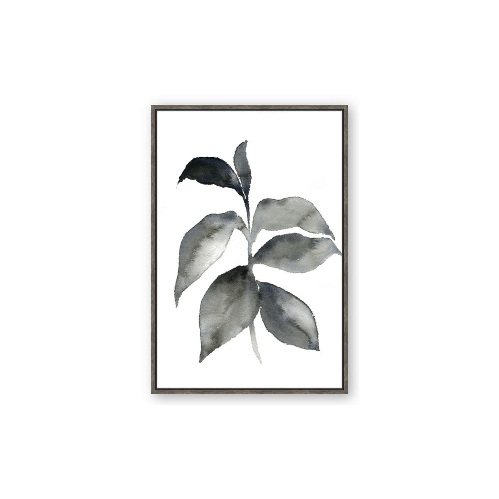 Black Watercolour Botanical II