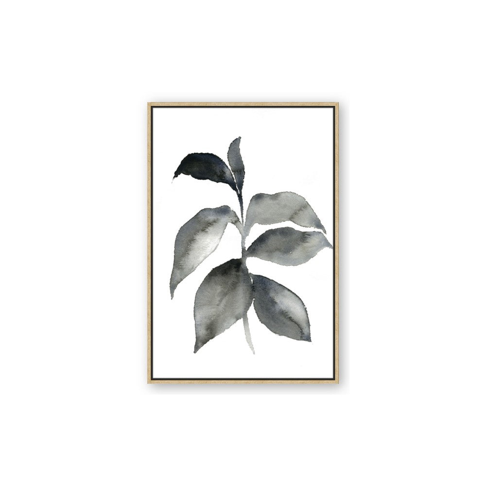 Black Watercolour Botanical II