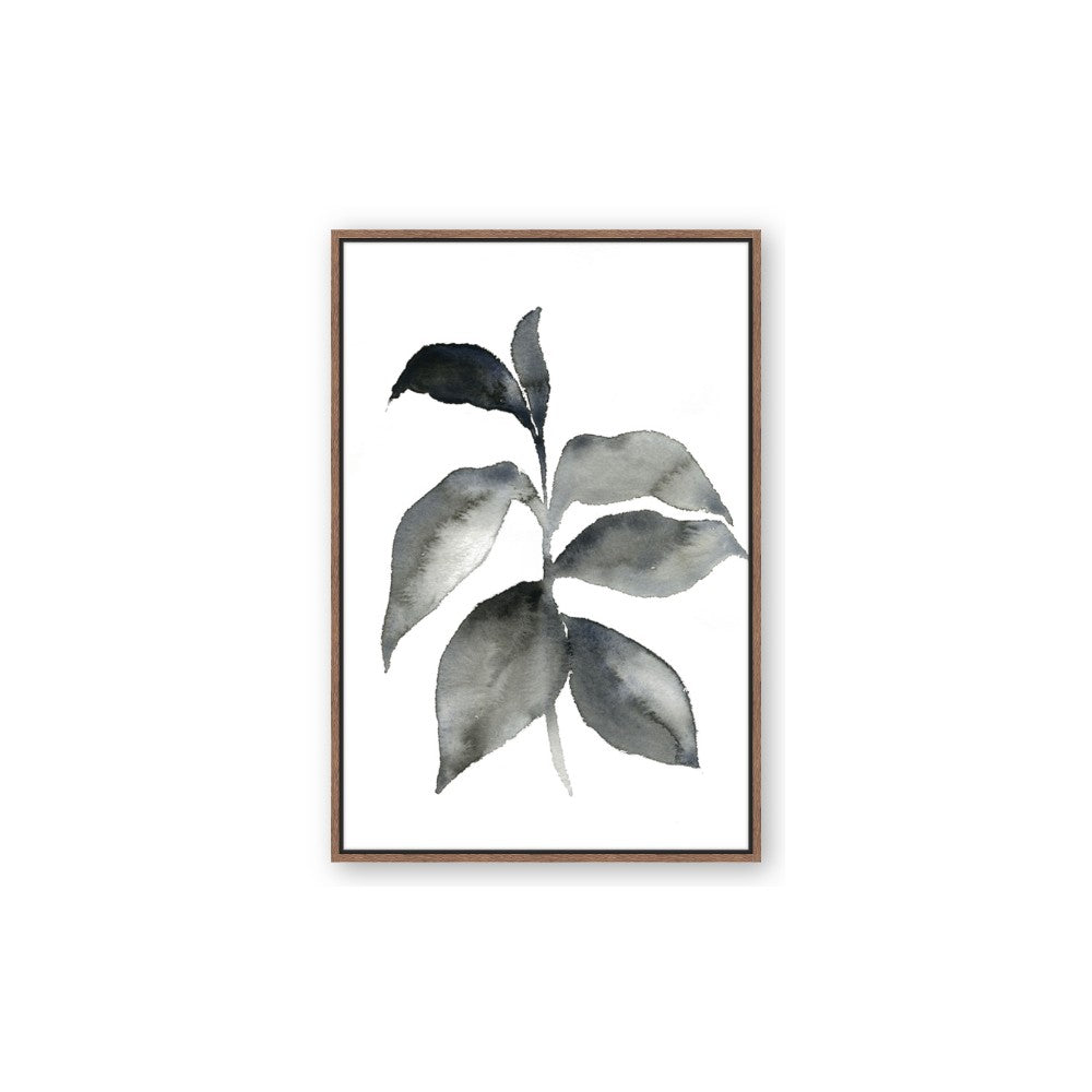 Black Watercolour Botanical II