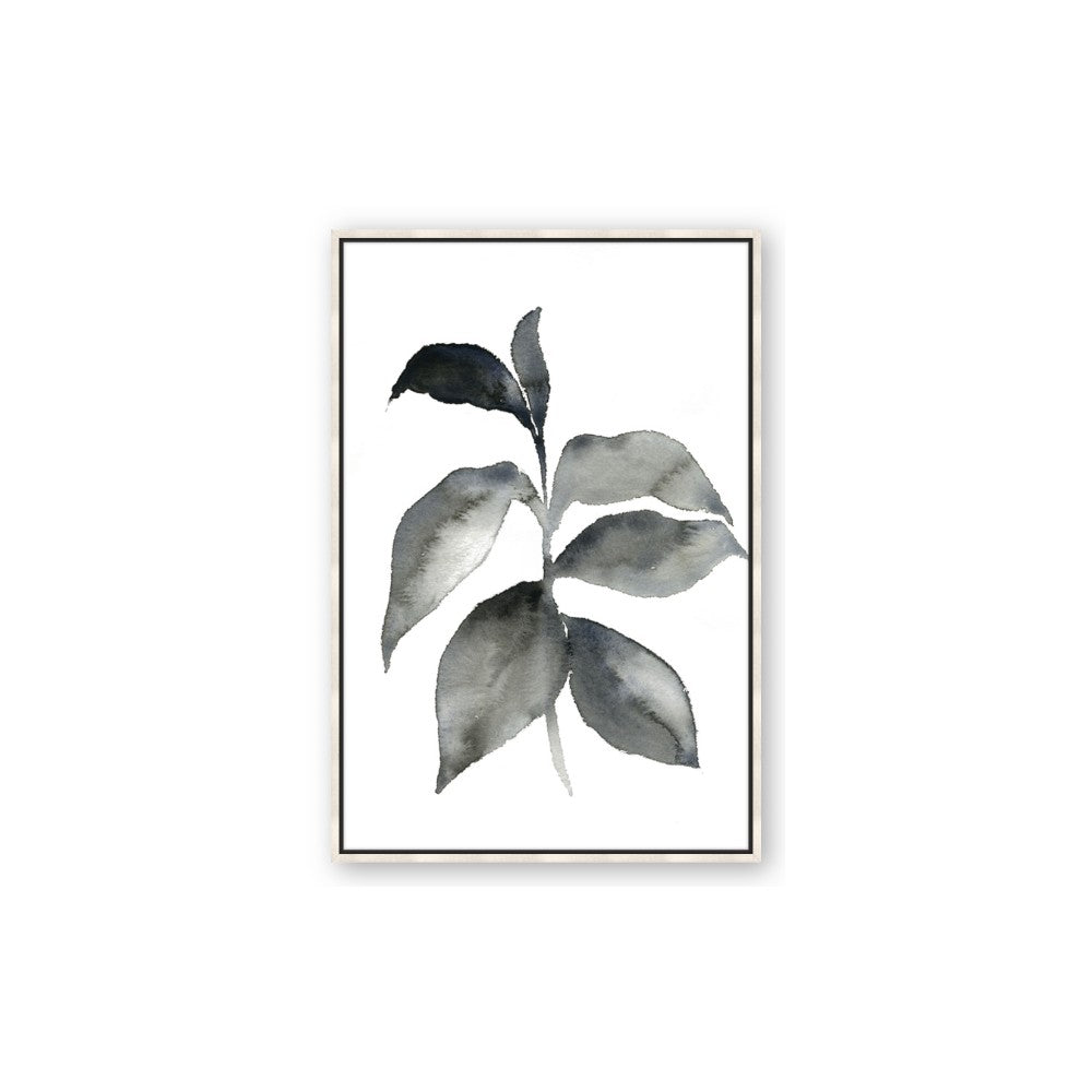 Black Watercolour Botanical II