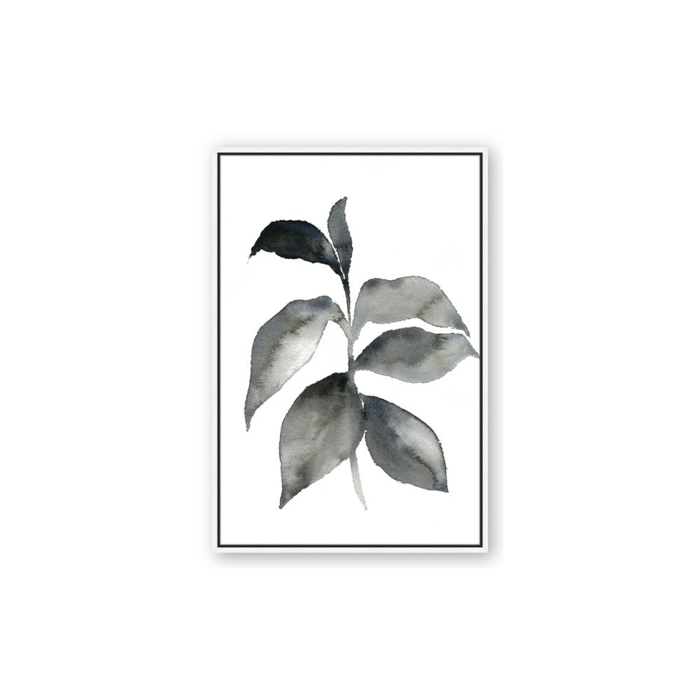 Black Watercolour Botanical II