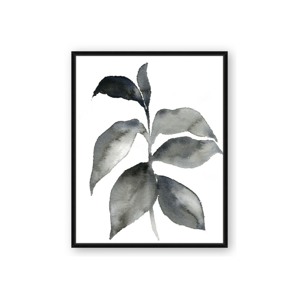 Black Watercolour Botanical II