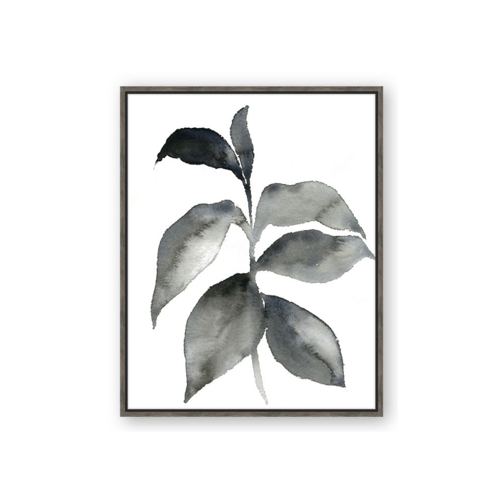 Black Watercolour Botanical II