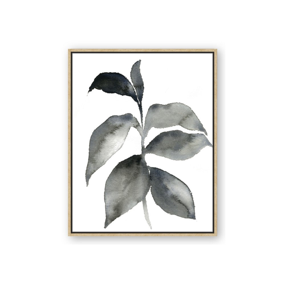 Black Watercolour Botanical II