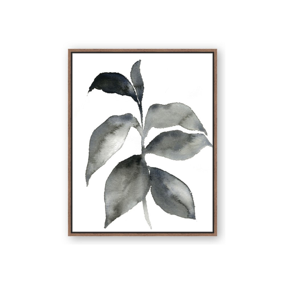 Black Watercolour Botanical II