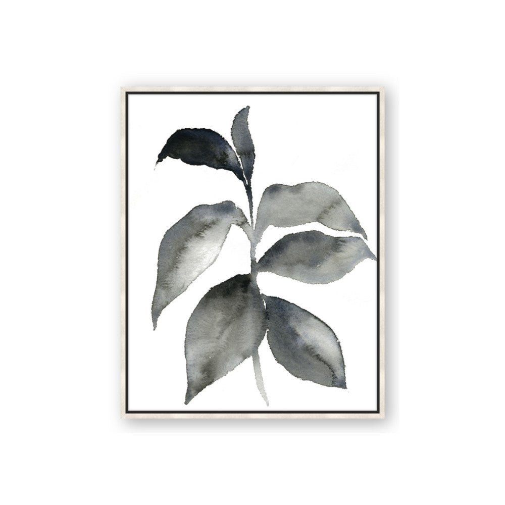 Black Watercolour Botanical II