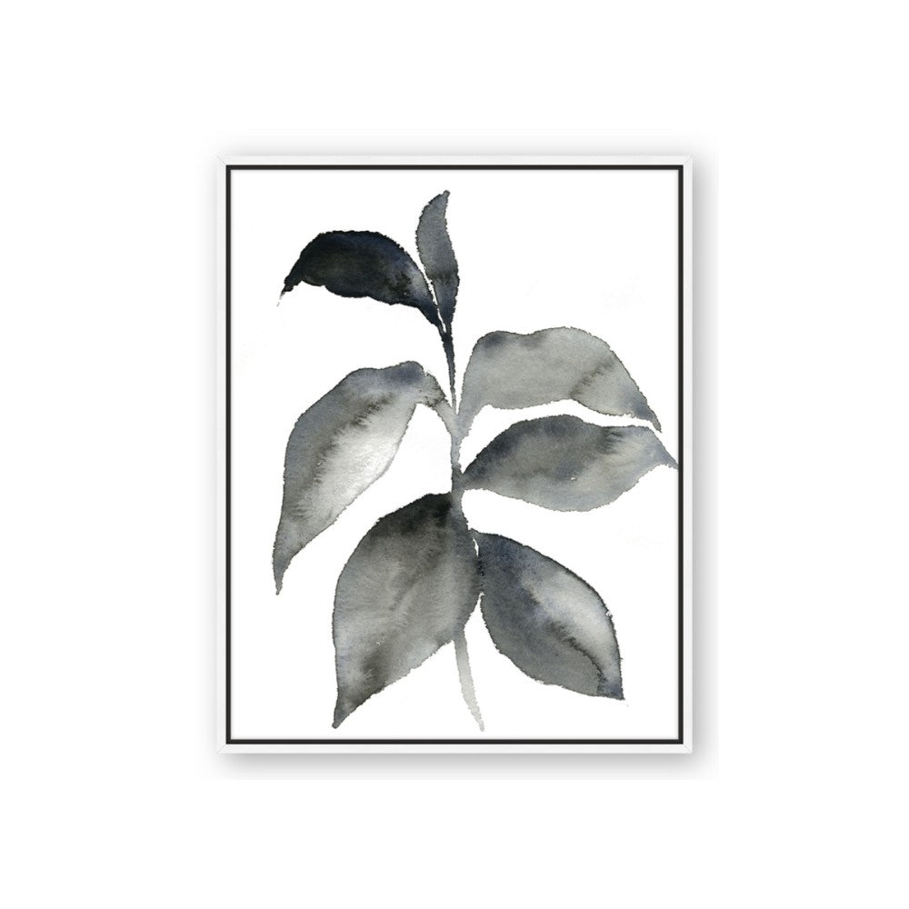 Black Watercolour Botanical II