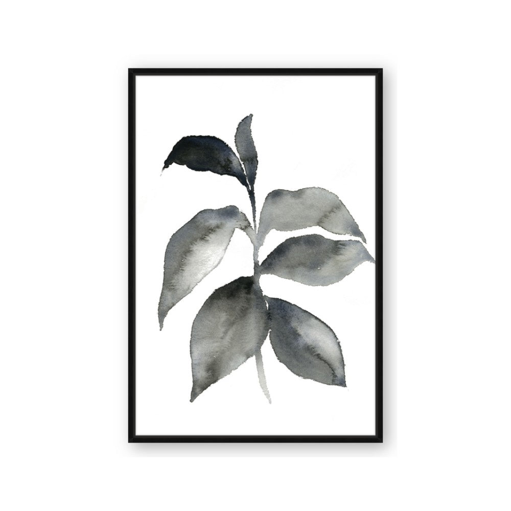 Black Watercolour Botanical II