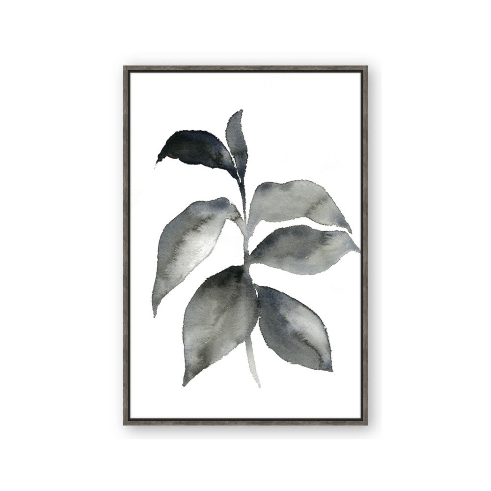 Black Watercolour Botanical II
