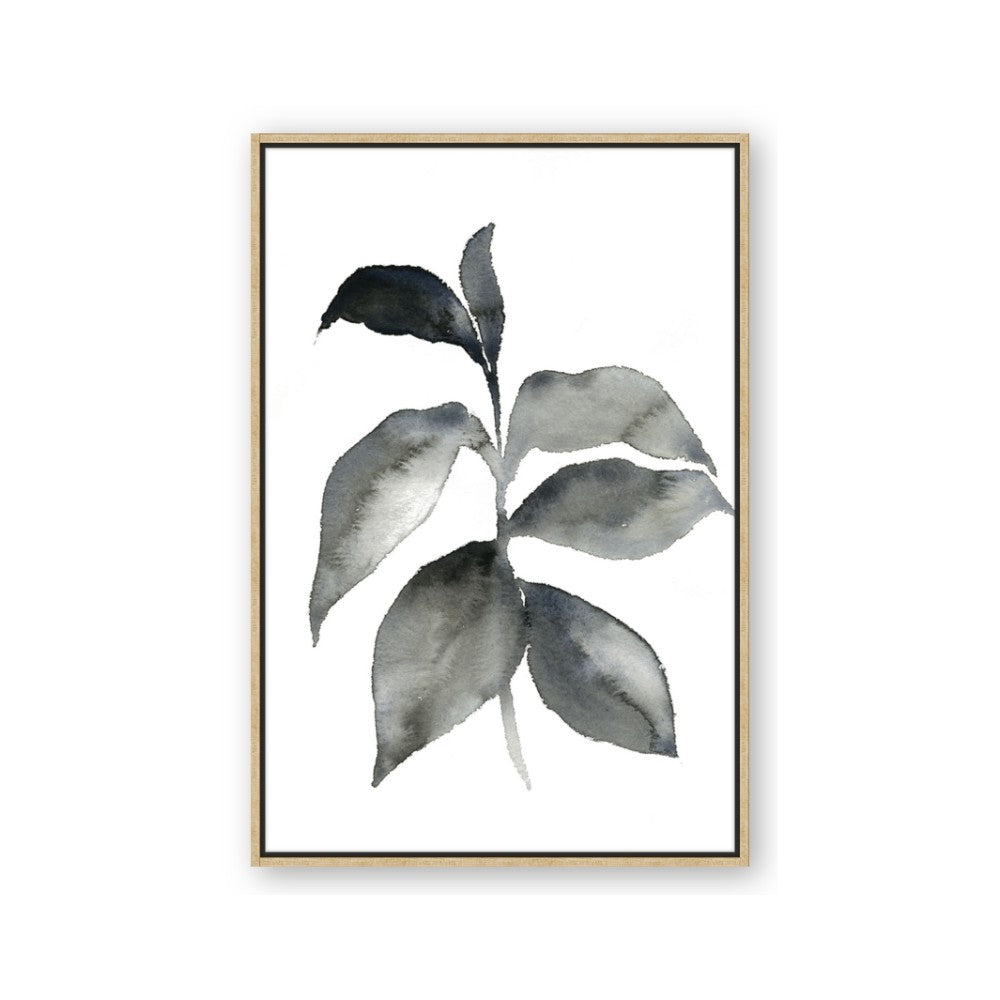 Black Watercolour Botanical II