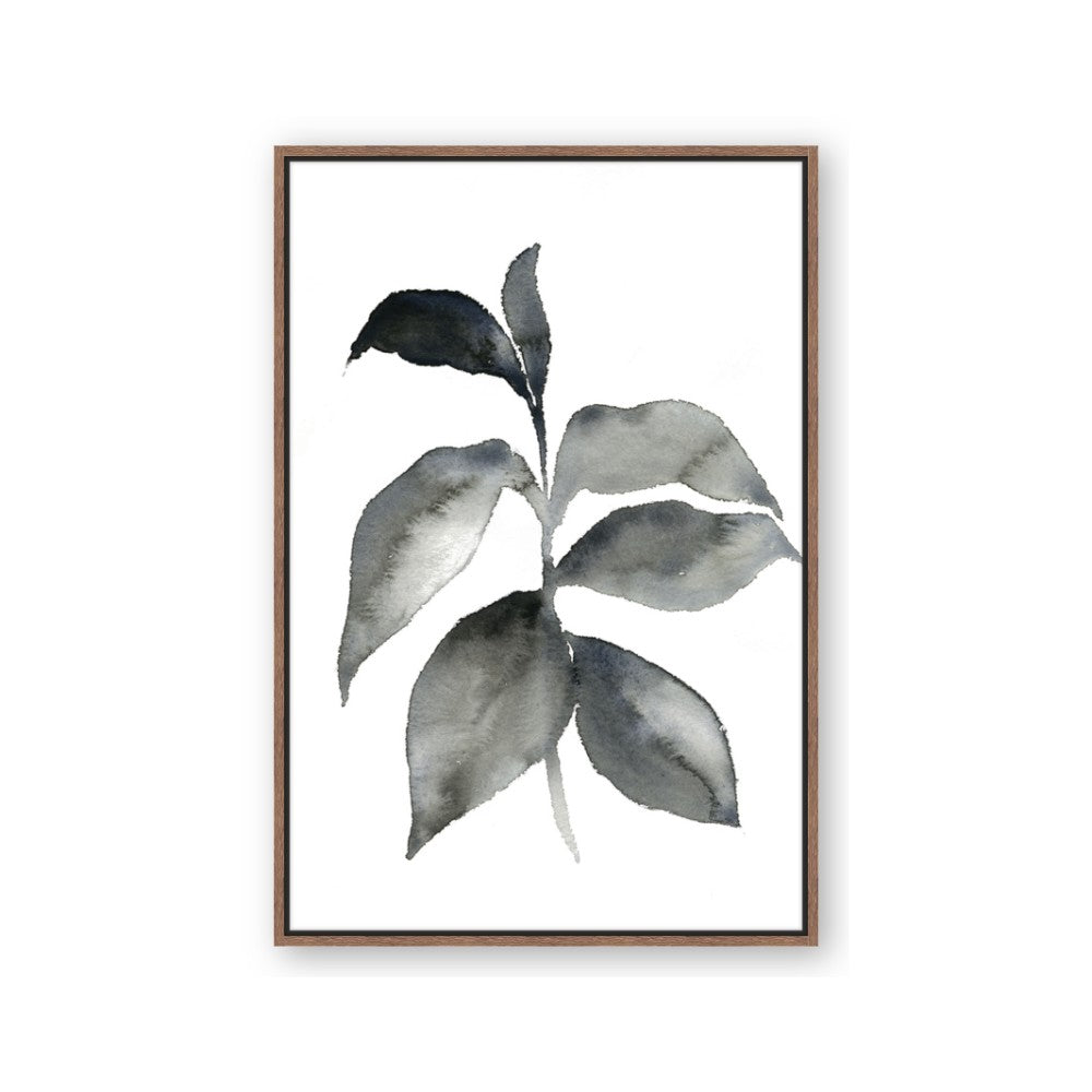 Black Watercolour Botanical II