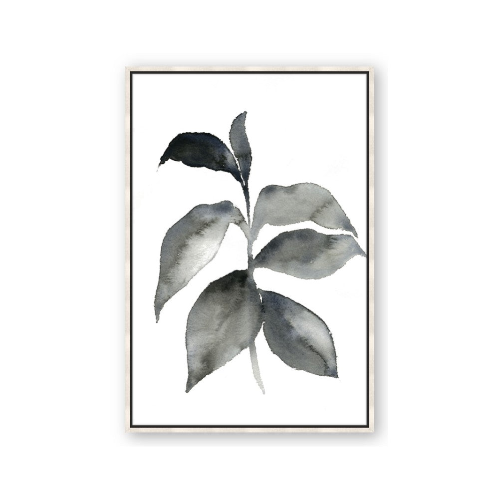 Black Watercolour Botanical II