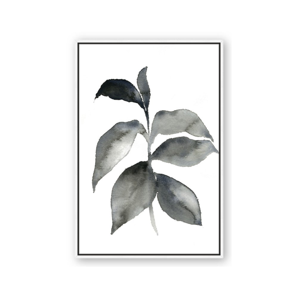 Black Watercolour Botanical II
