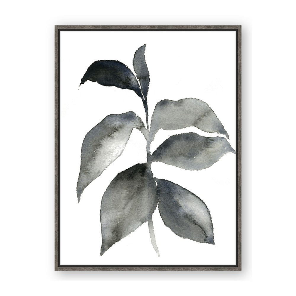 Black Watercolour Botanical II