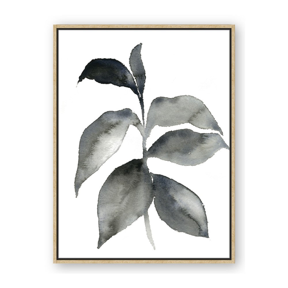 Black Watercolour Botanical II