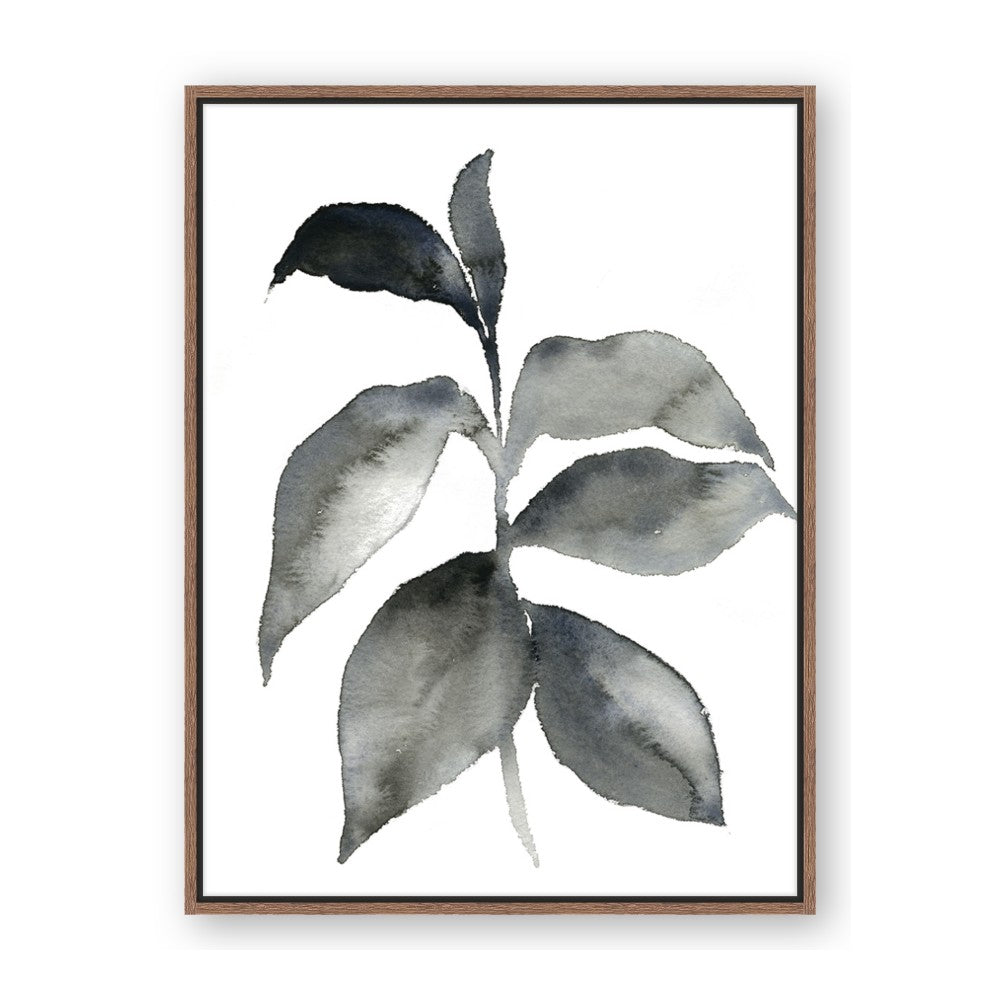 Black Watercolour Botanical II