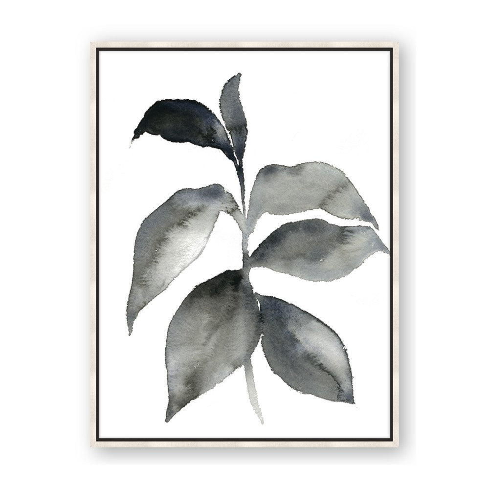 Black Watercolour Botanical II