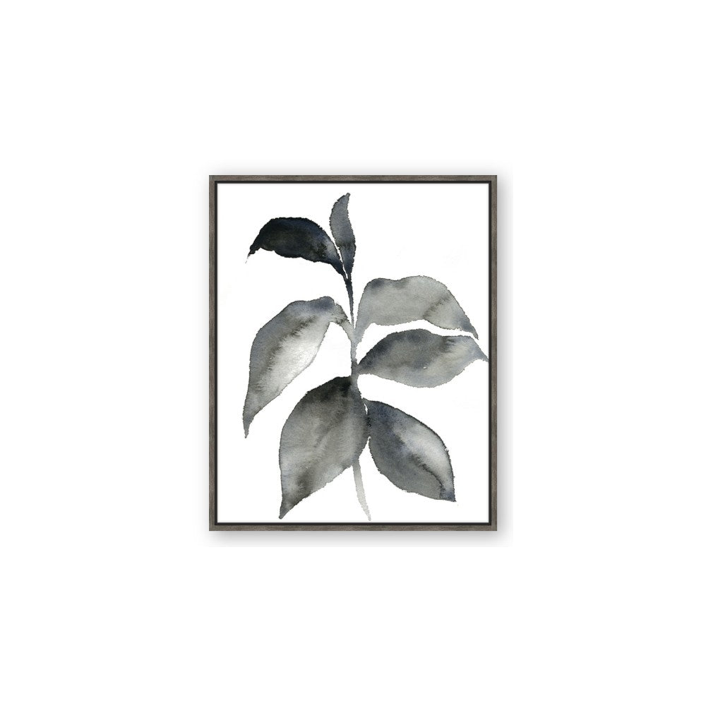 Black Watercolour Botanical II