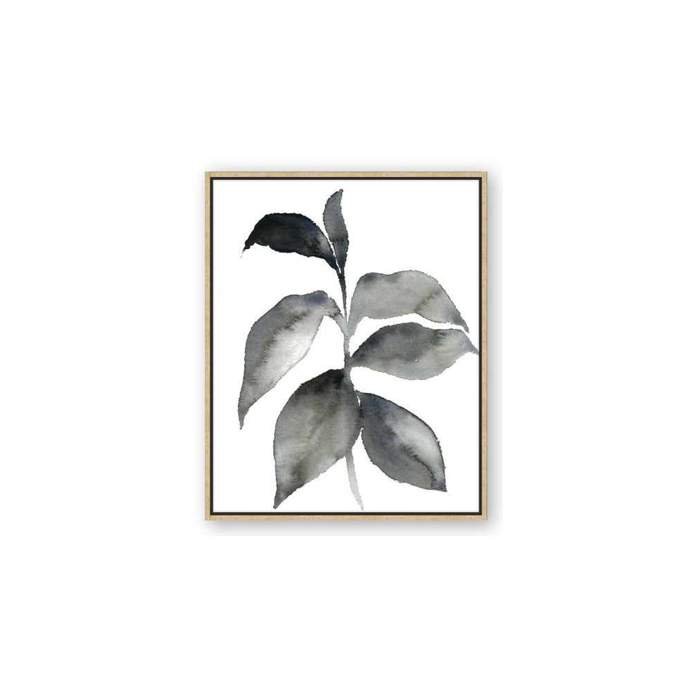 Black Watercolour Botanical II