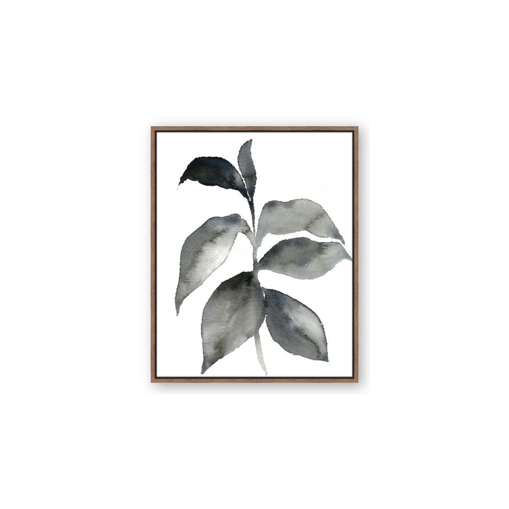 Black Watercolour Botanical II