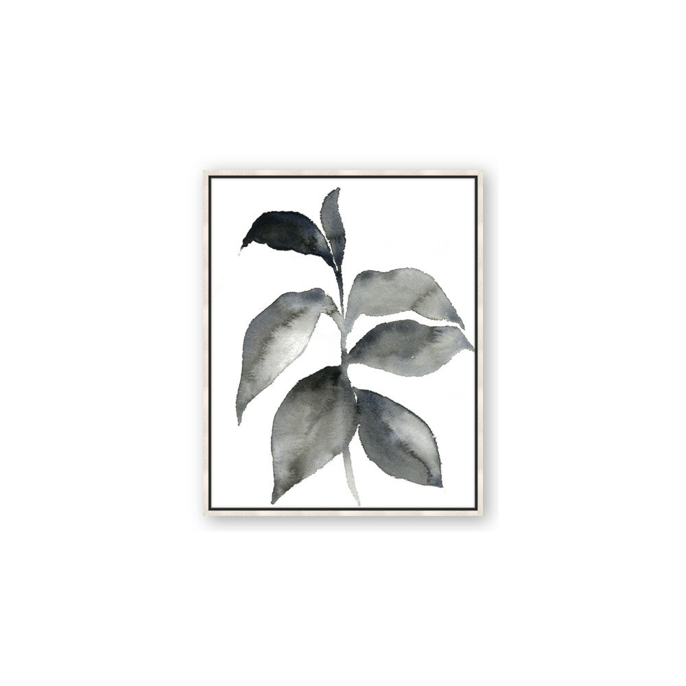Black Watercolour Botanical II
