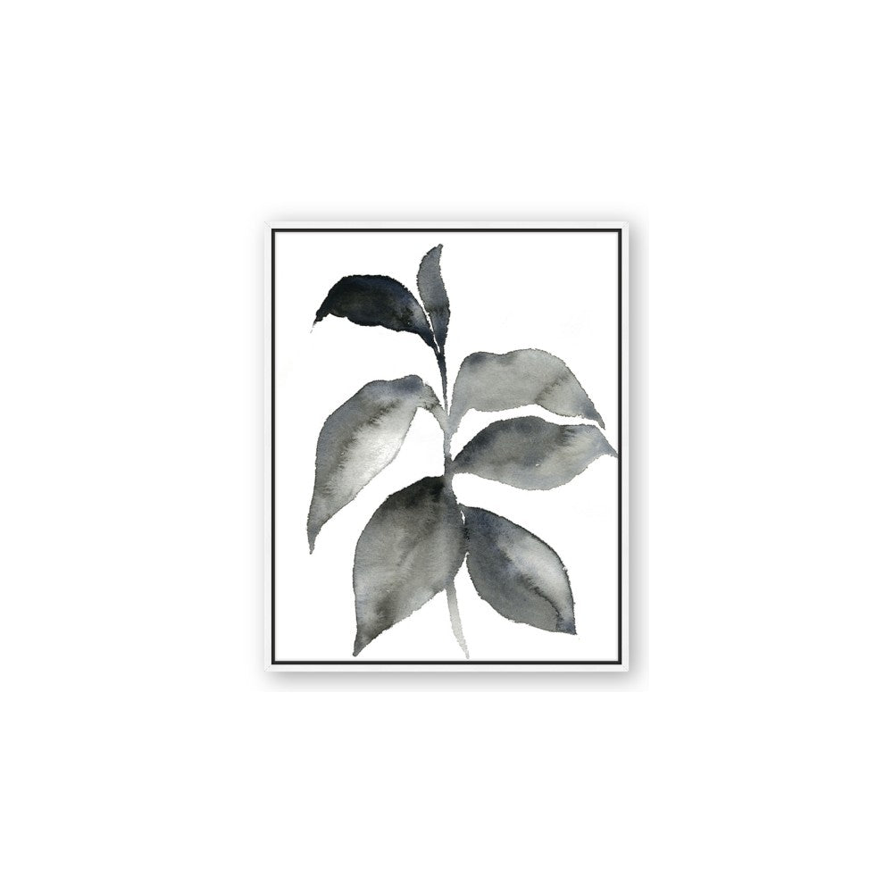 Black Watercolour Botanical II