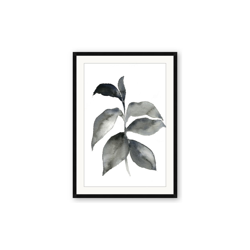 Black Watercolour Botanical II