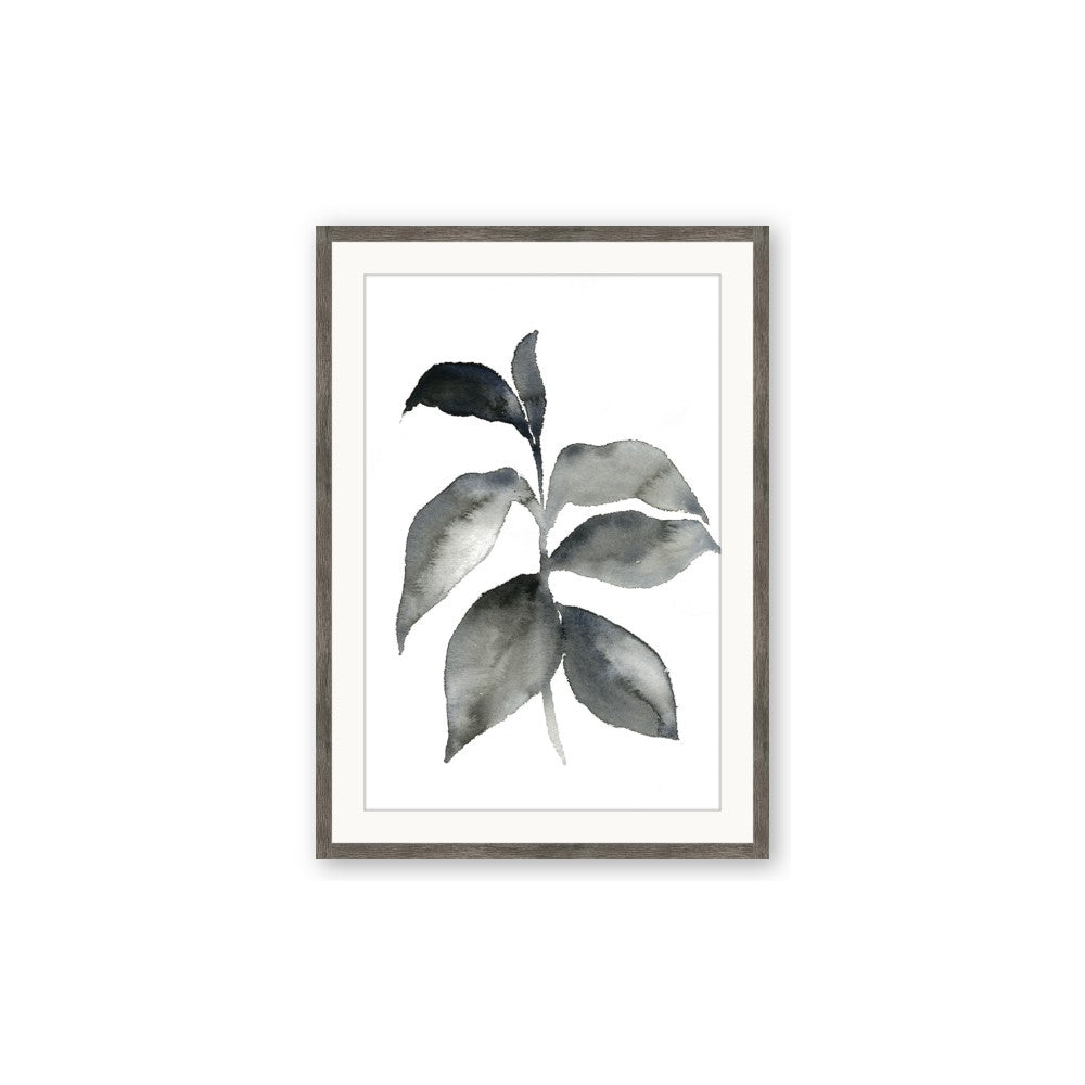 Black Watercolour Botanical II