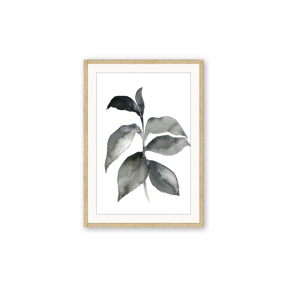 Black Watercolour Botanical II