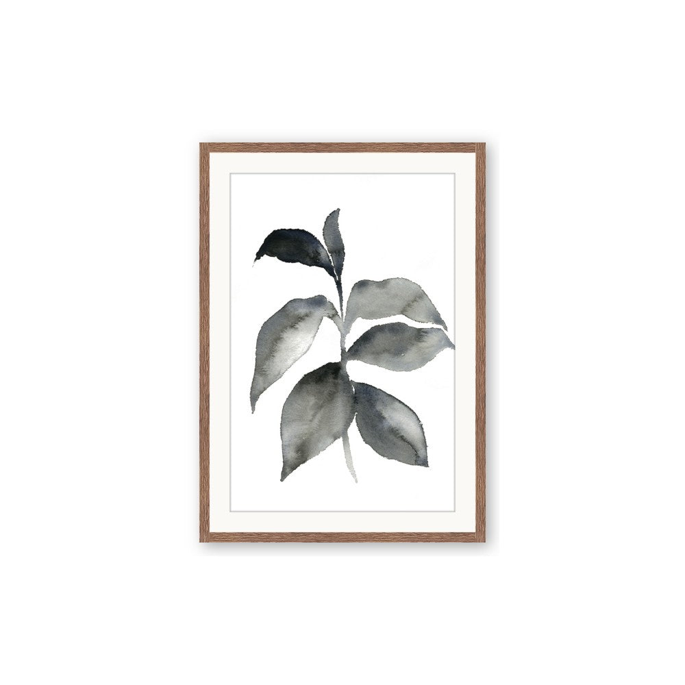 Black Watercolour Botanical II