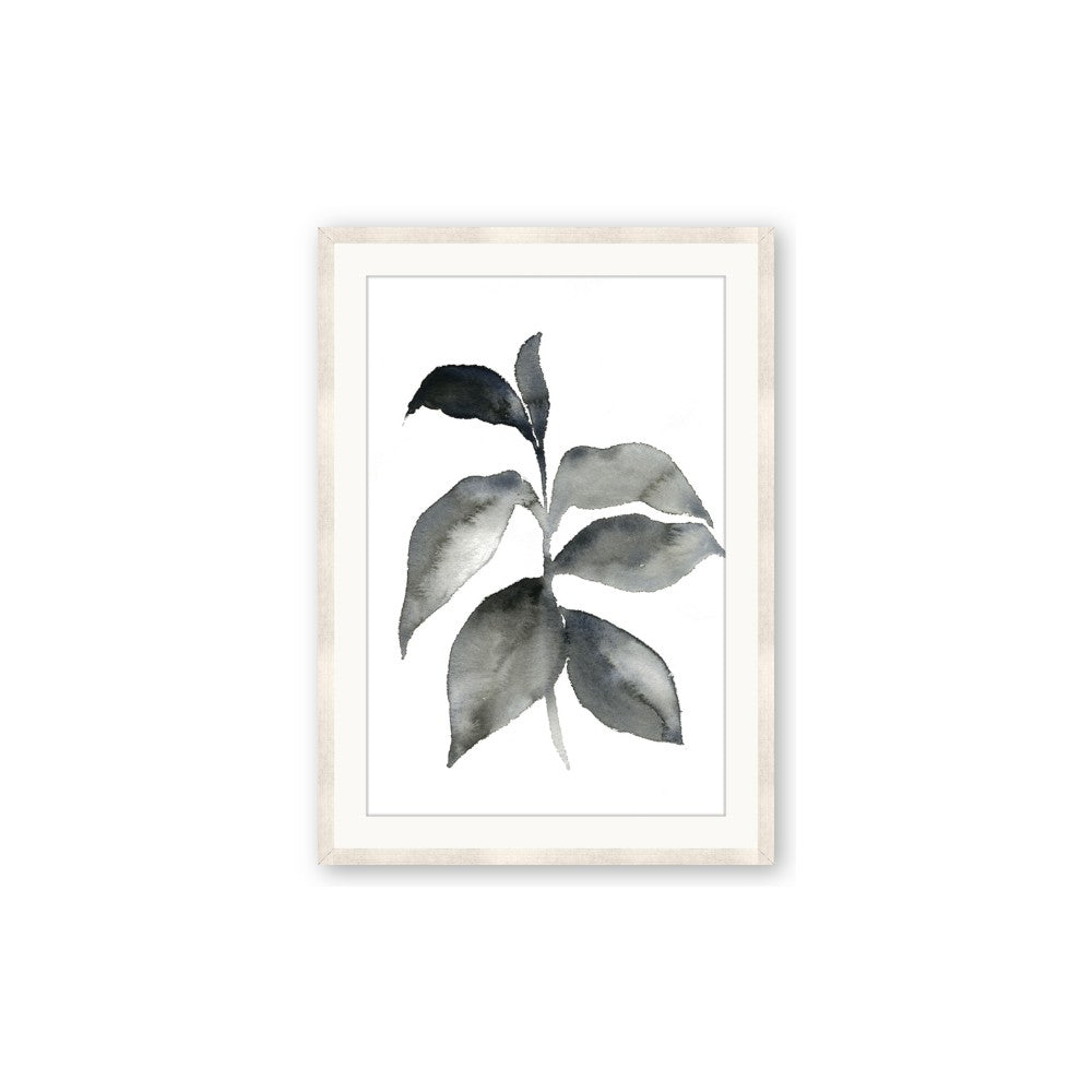 Black Watercolour Botanical II