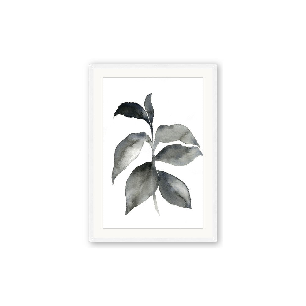 Black Watercolour Botanical II