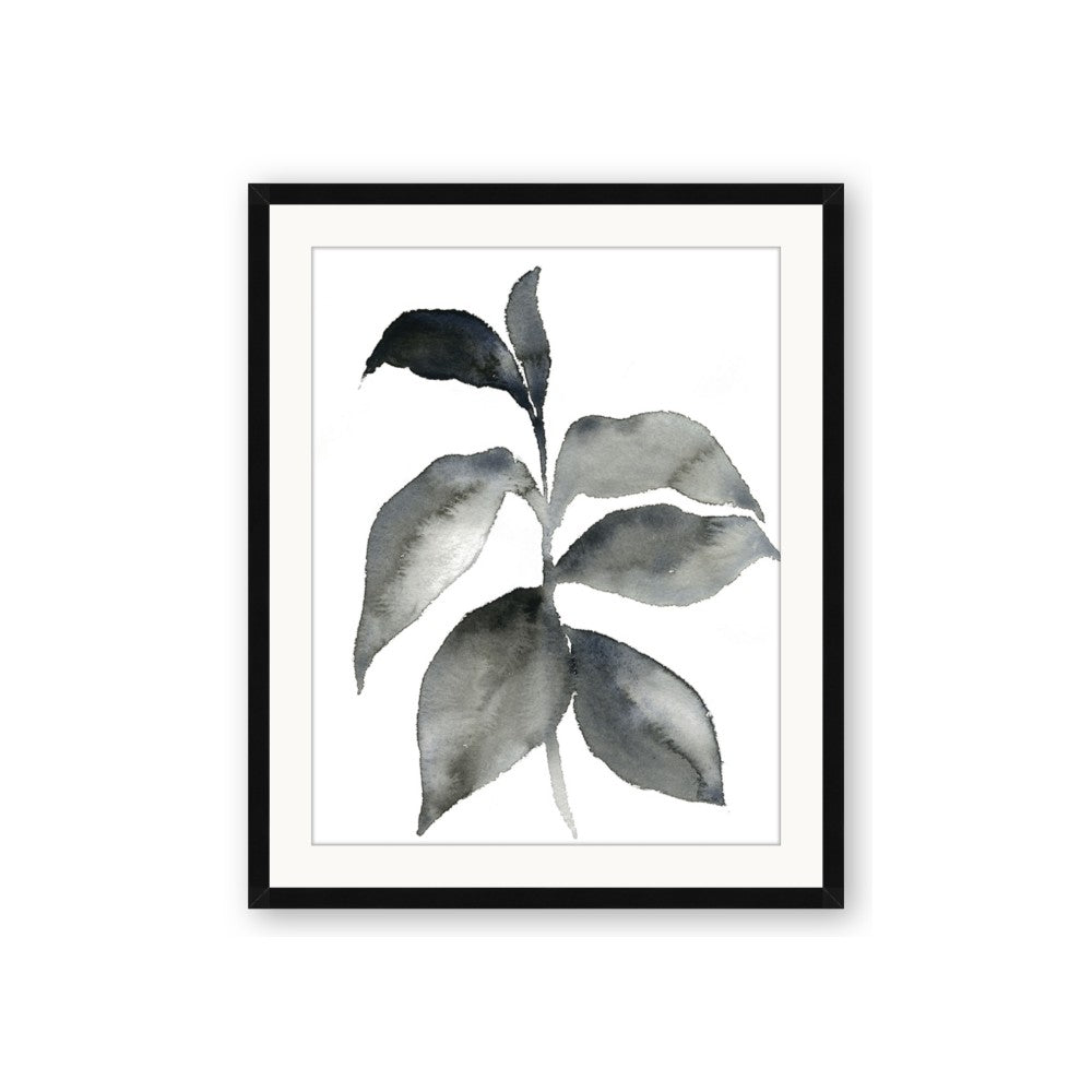 Black Watercolour Botanical II
