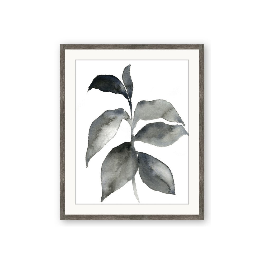 Black Watercolour Botanical II