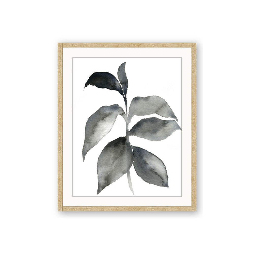 Black Watercolour Botanical II