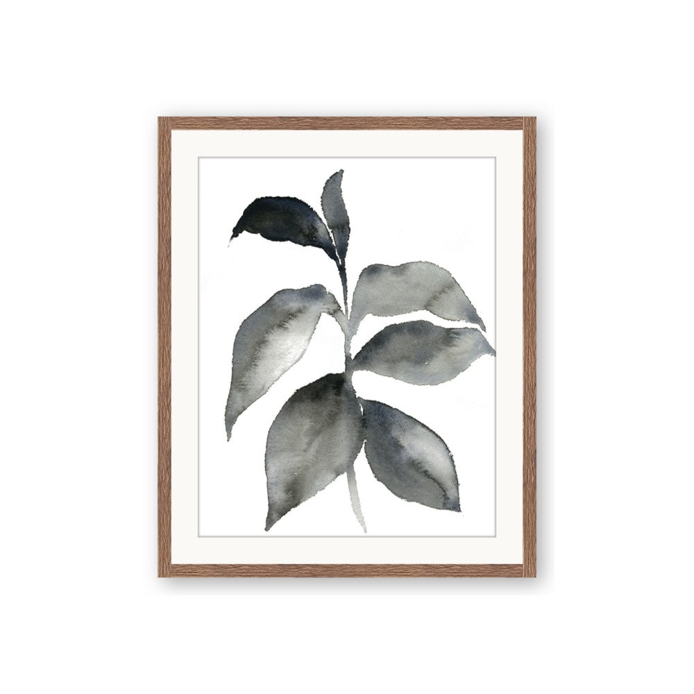 Black Watercolour Botanical II
