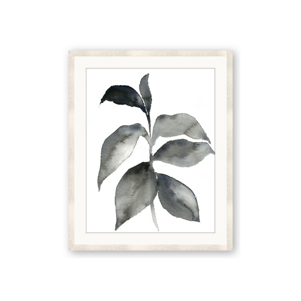Black Watercolour Botanical II