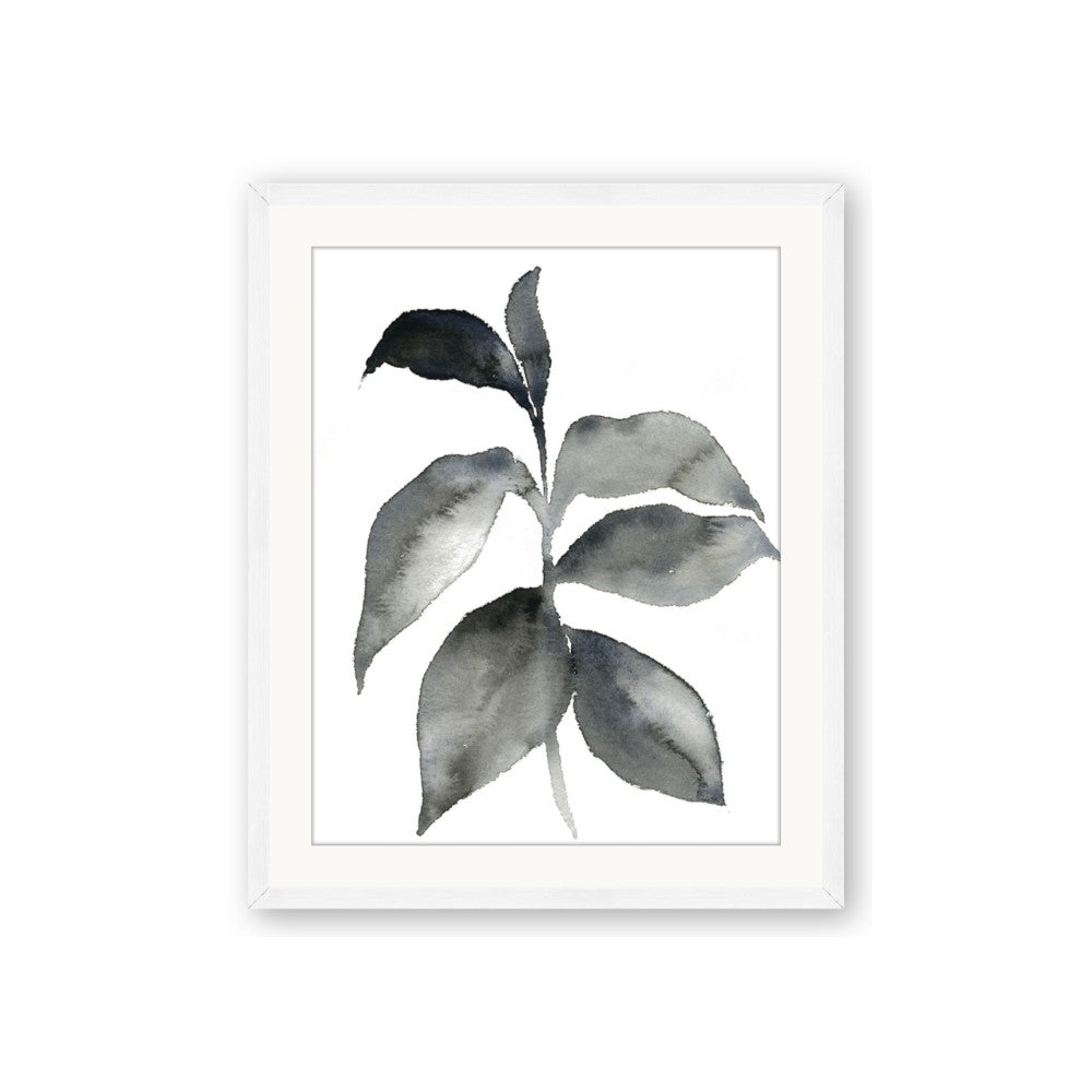 Black Watercolour Botanical II