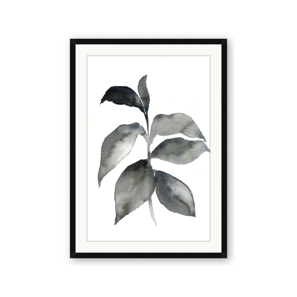 Black Watercolour Botanical II