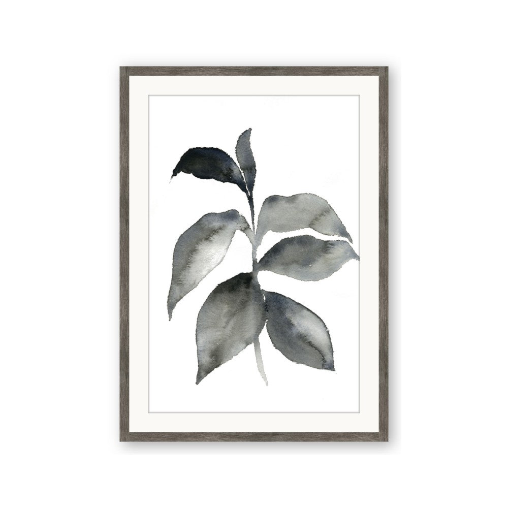 Black Watercolour Botanical II