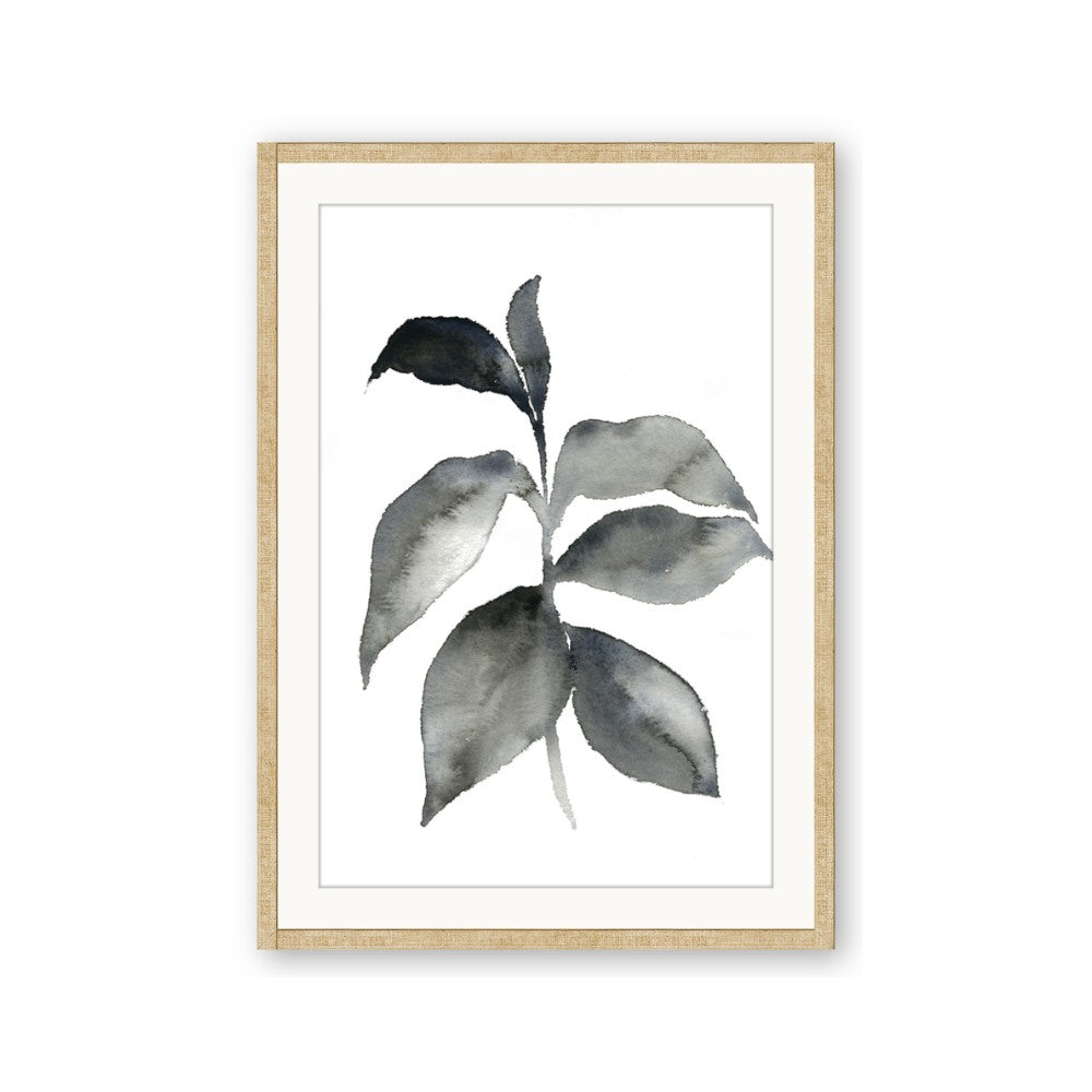 Black Watercolour Botanical II