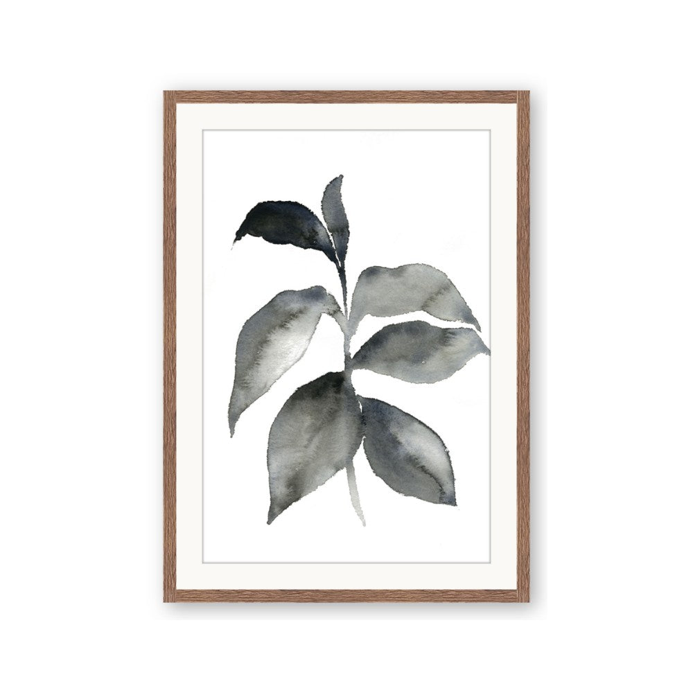 Black Watercolour Botanical II