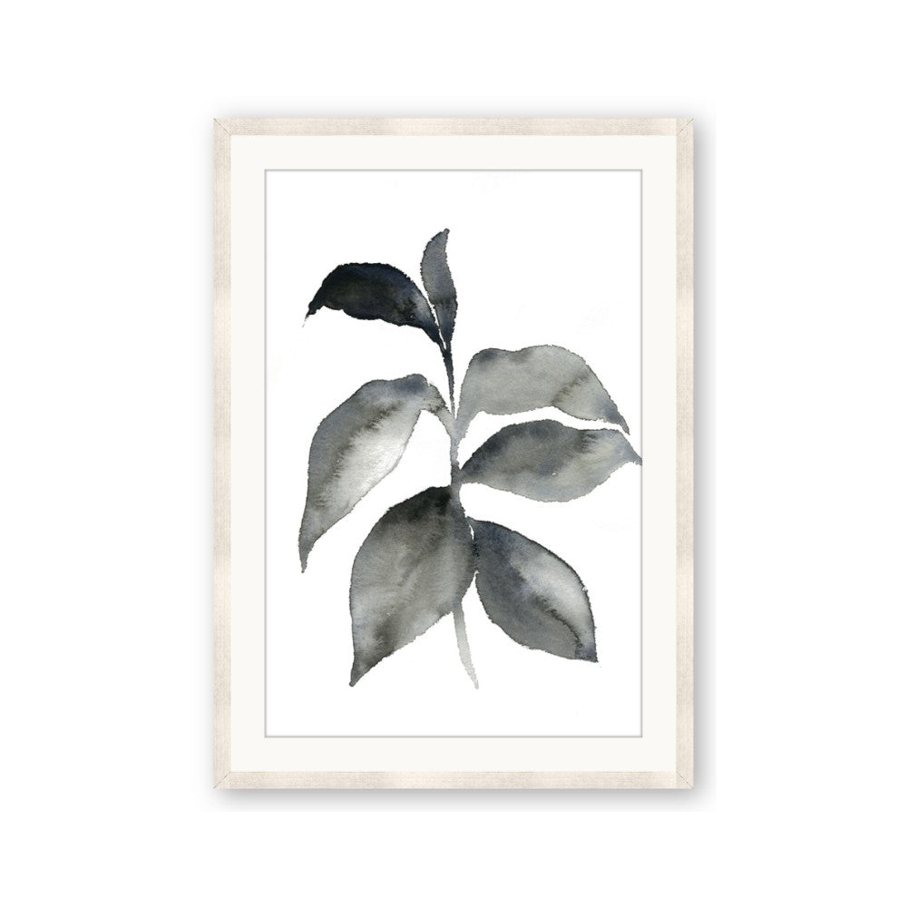 Black Watercolour Botanical II