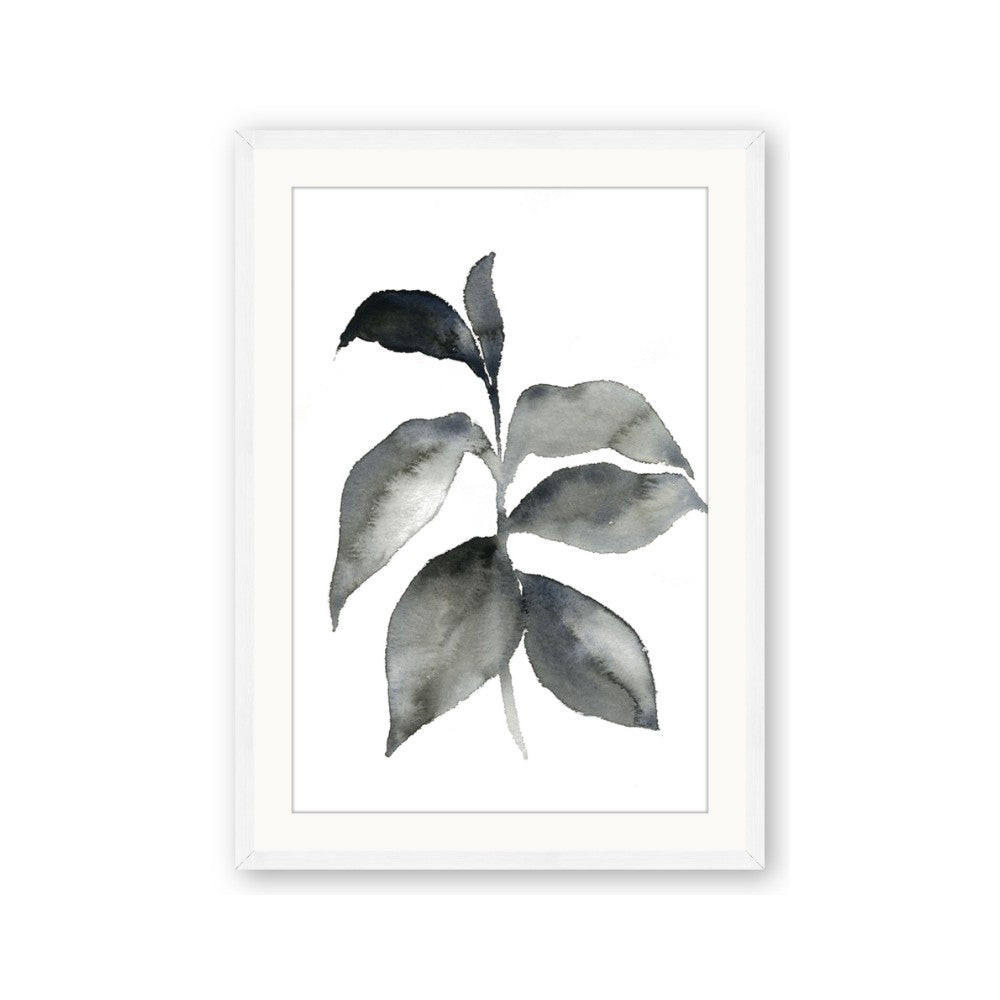 Black Watercolour Botanical II